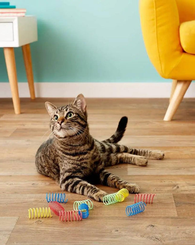 PRIMI PETS™ - Spring Cat Toy