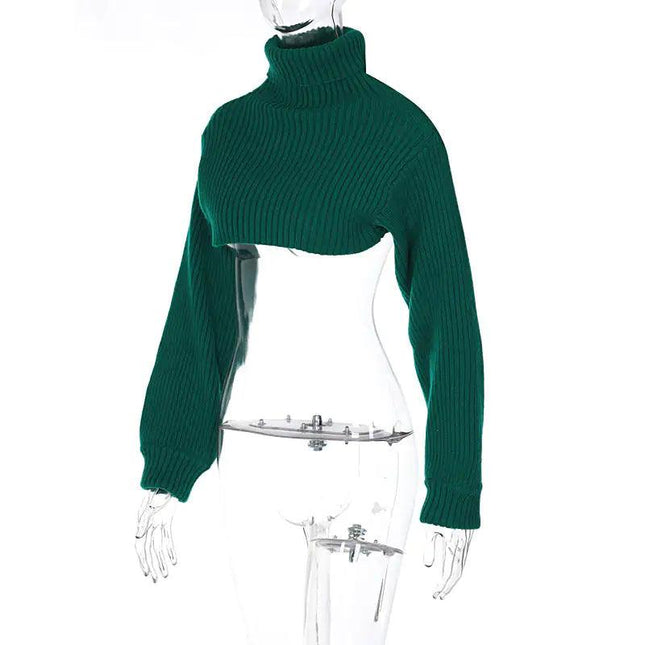 Turtleneck Cropped Sweater