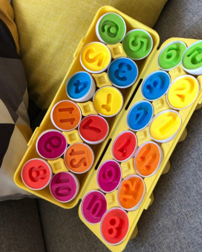 Sorting Puzzle for Kid Baby Toddler