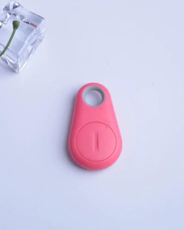 Paw Anti-Lost Device