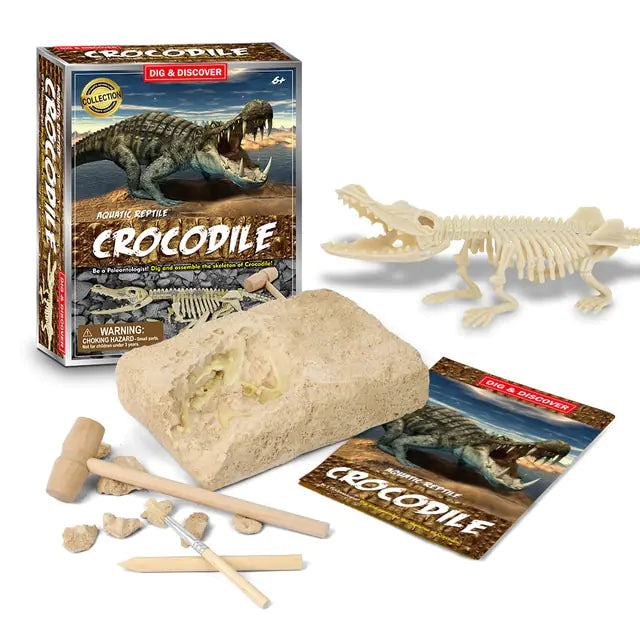 Dinosaur Fossil Excavation Kits Education