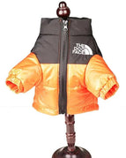 Orange / 2 Extra Large