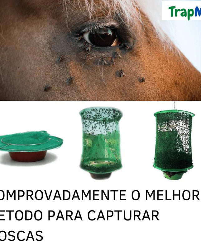 TrapMax™ Fly Trap