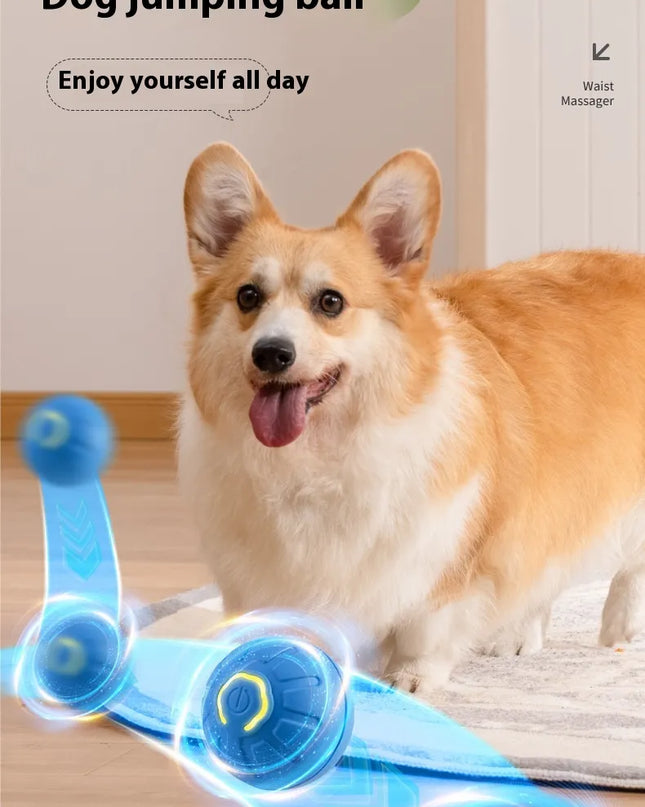 Smart Interactive Dog Toy Ball