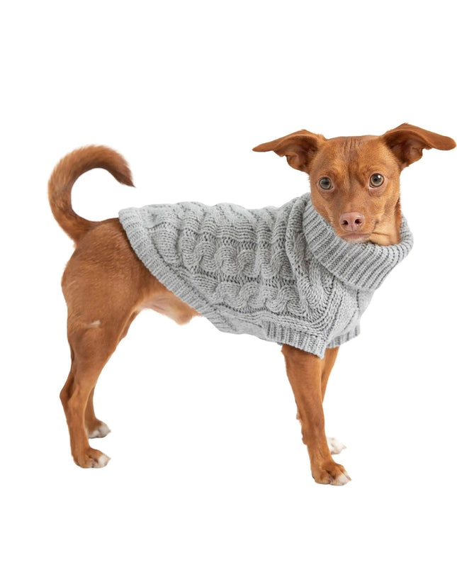 Chunky Dog Sweater