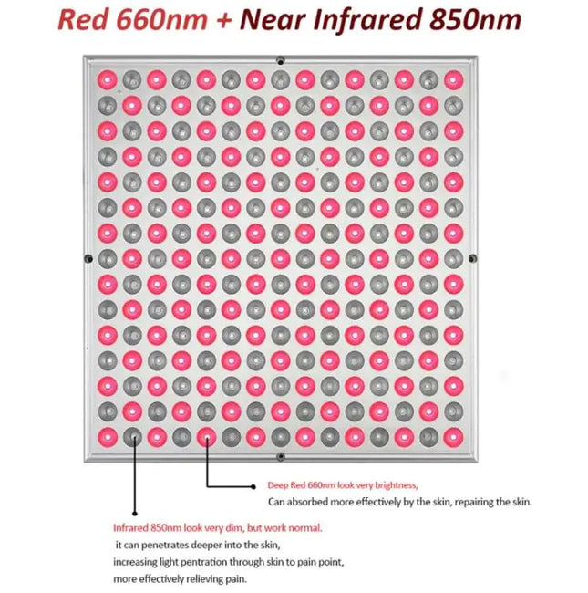 LED Physiotherapy Light