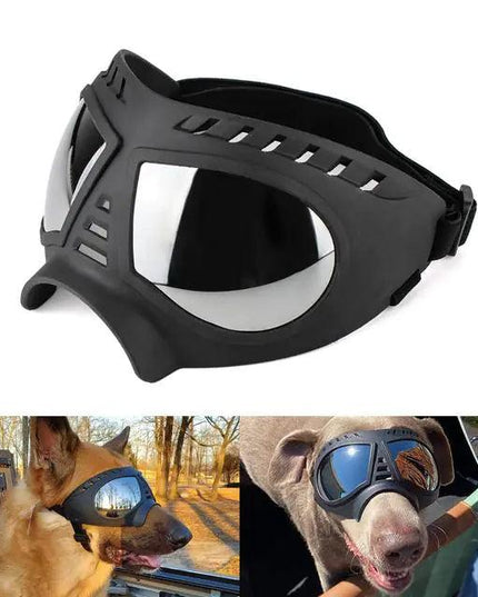 Dog Sunglass Windproof Summer Goggles Protection