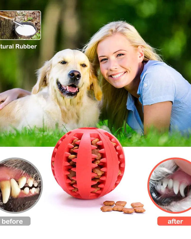 Rubber Balls Chewing Pet Toys