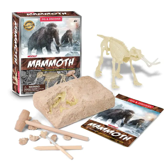 Dinosaur Fossil Excavation Kits Education