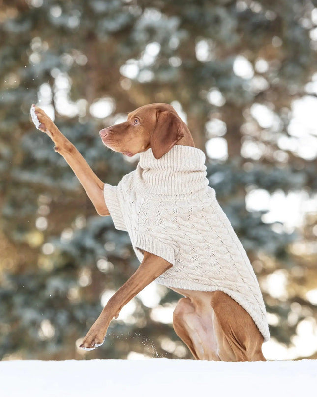 Chalet Dog Sweater