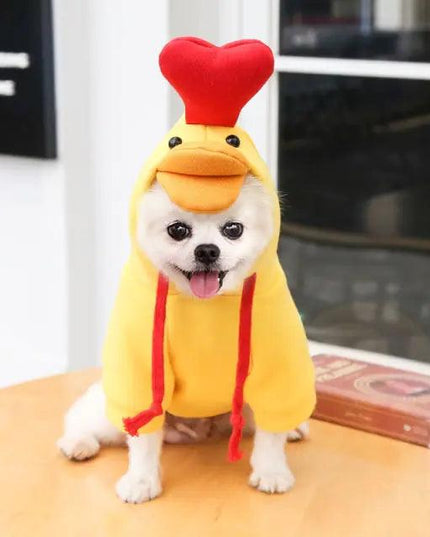 Fruit Pet Coat Hoodies