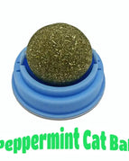 Blue / Mint Flavor 1