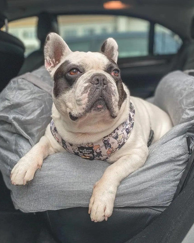 Pet Travel Bed