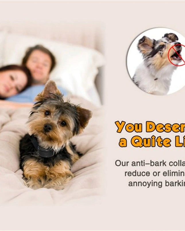 Anti Bark Dog Collar