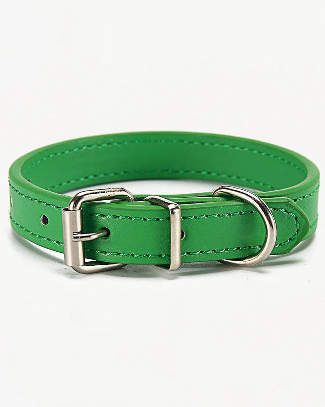 Paws & Whiskers Collar