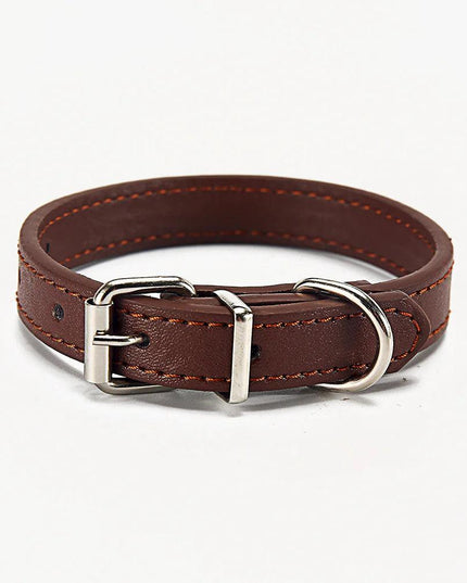 Paws & Whiskers Collar