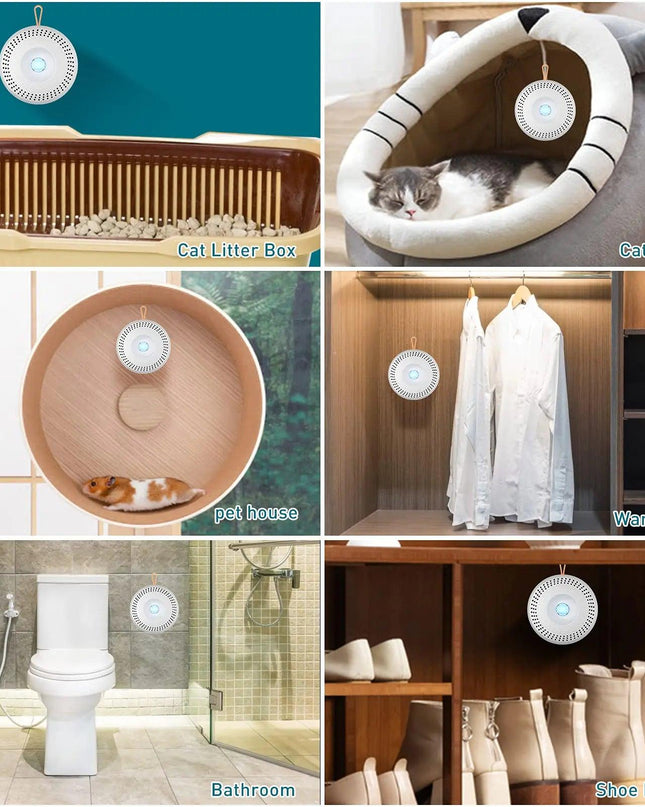 Smart Odor Eliminator for Litter Box