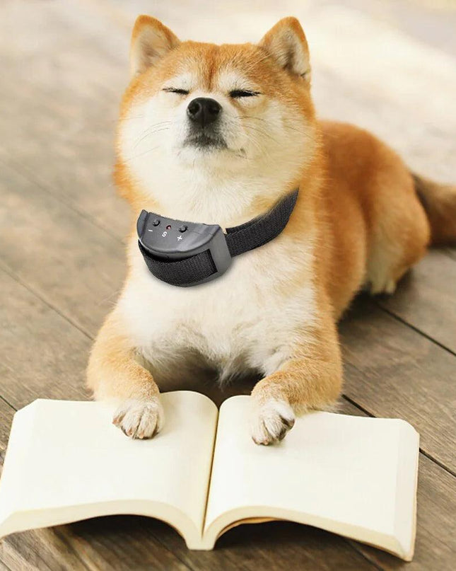 Anti Bark Dog Collar