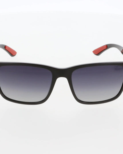 Hawk 2185 01 Sunglasses