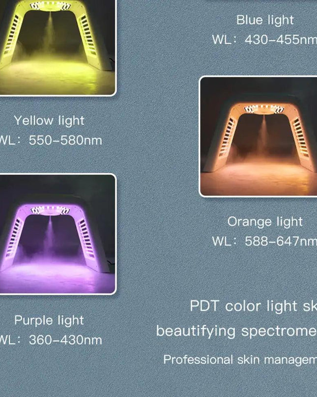 LED Facial Therapy Mask