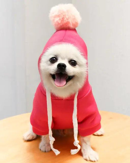 Fruit Pet Coat Hoodies