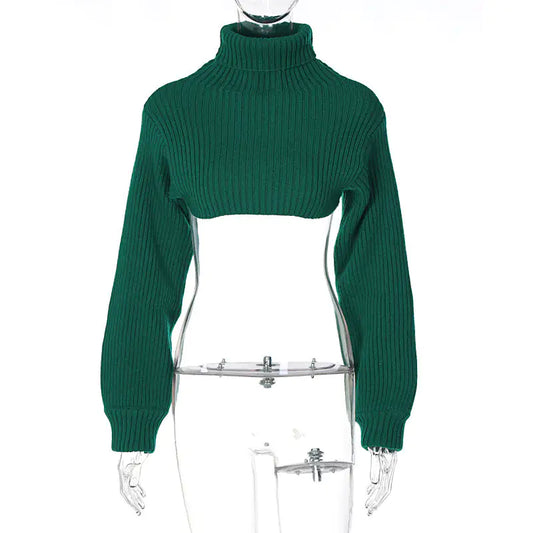 Turtleneck Cropped Sweater