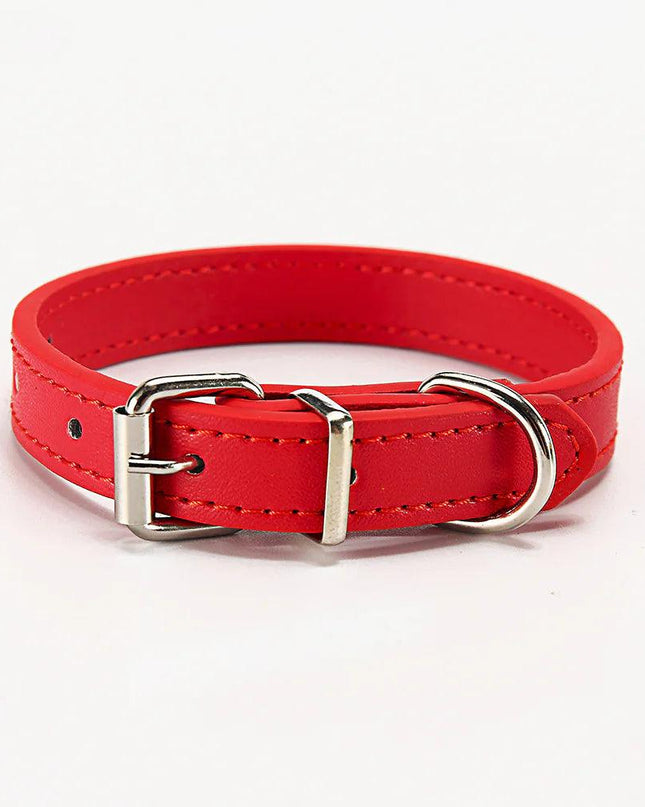 Paws & Whiskers Collar