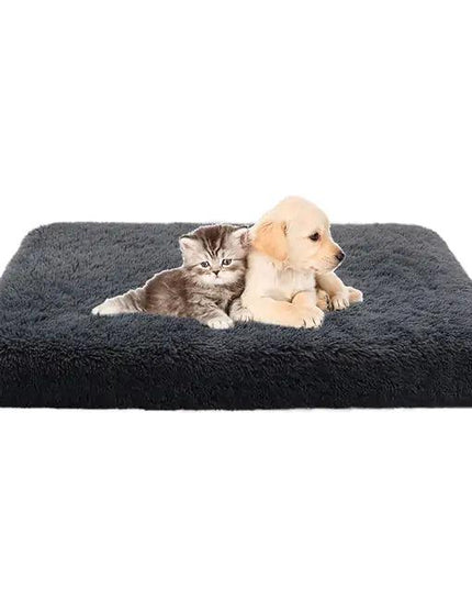 Cozy Canine Cushion