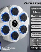 White Boxing Target Gloves / Standard