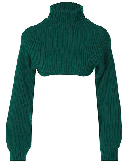 Turtleneck Cropped Sweater