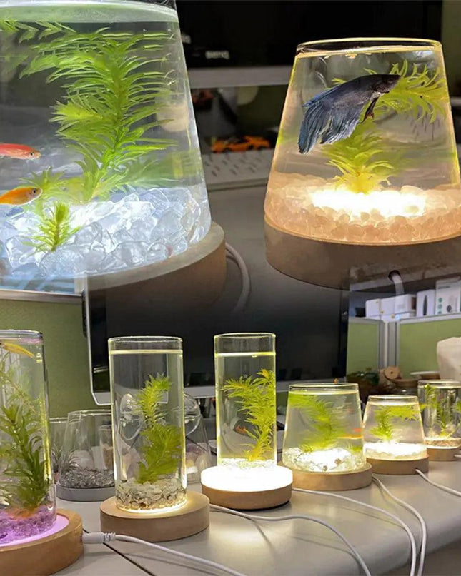 New Wooden LED Light Dispaly Base