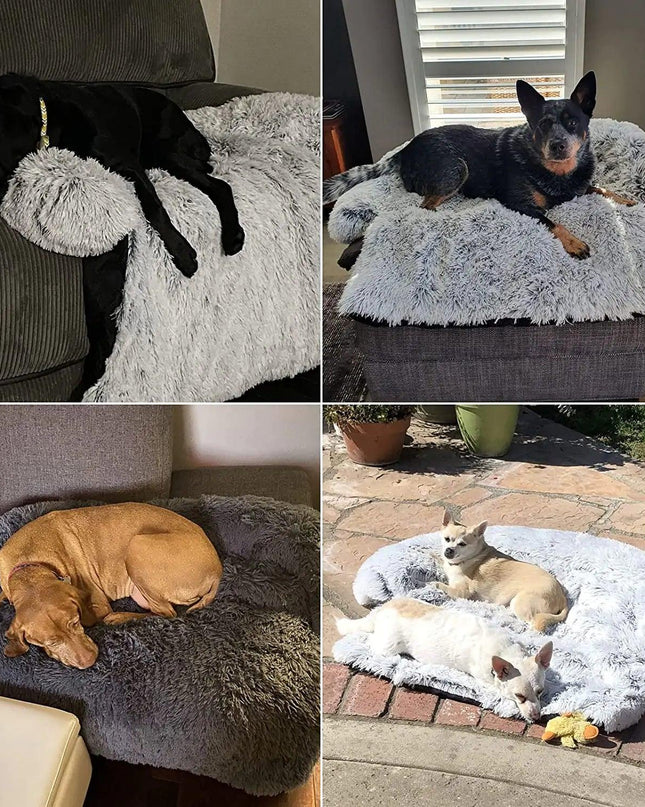 Pet Dog Bed Cushion