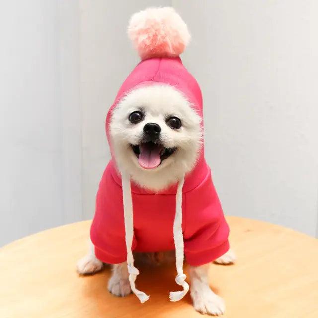 Fruit Pet Coat Hoodies