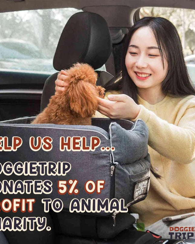 Safety Car Seat For Small Pets