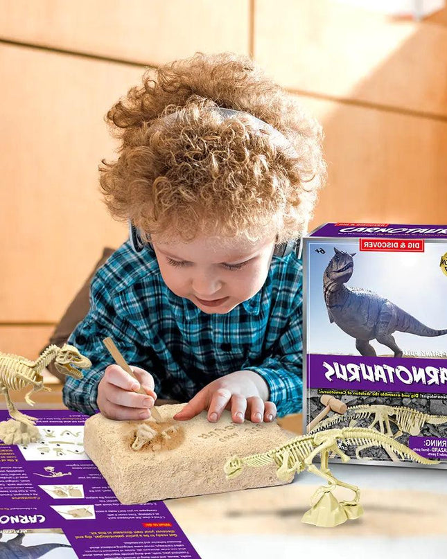 Dinosaur Fossil Excavation Kits Education