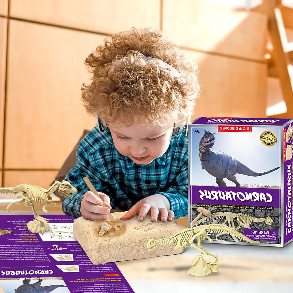 Dinosaur Fossil Excavation Kits Education