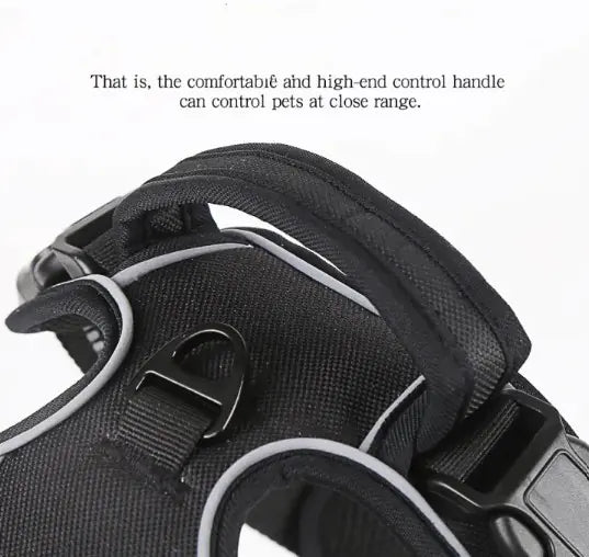 Pet Harness Vest