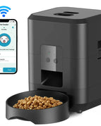 Black WiFi / No Adapter