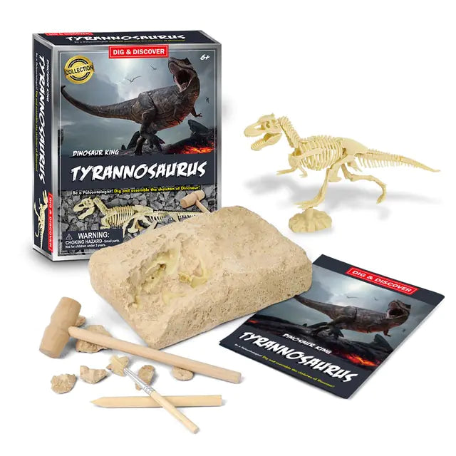 Dinosaur Fossil Excavation Kits Education