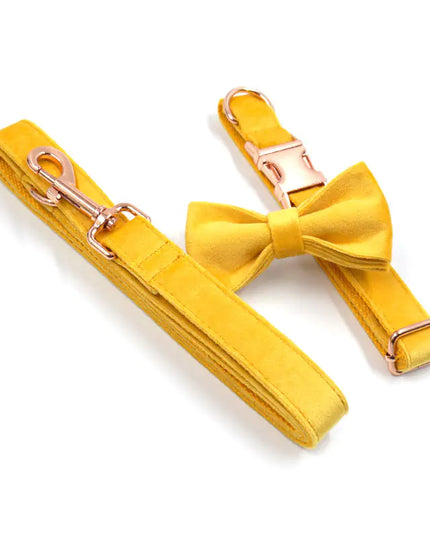 Velvet Yellow Dog Collar with Bow Set