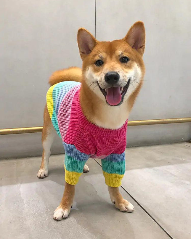 Puppy Knitted Rainbow Sweater