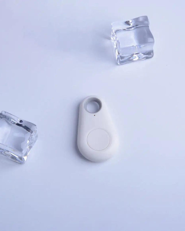 Paw Anti-Lost Device