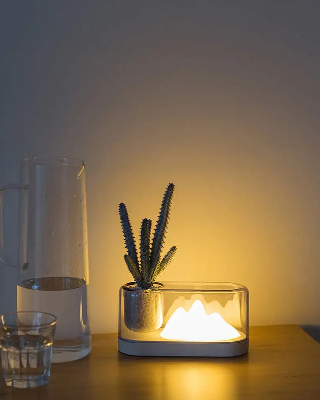 Mini Potted Plant Container Lamp
