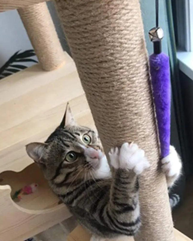 Retractable Cat Feather Toy for Indoor Cats