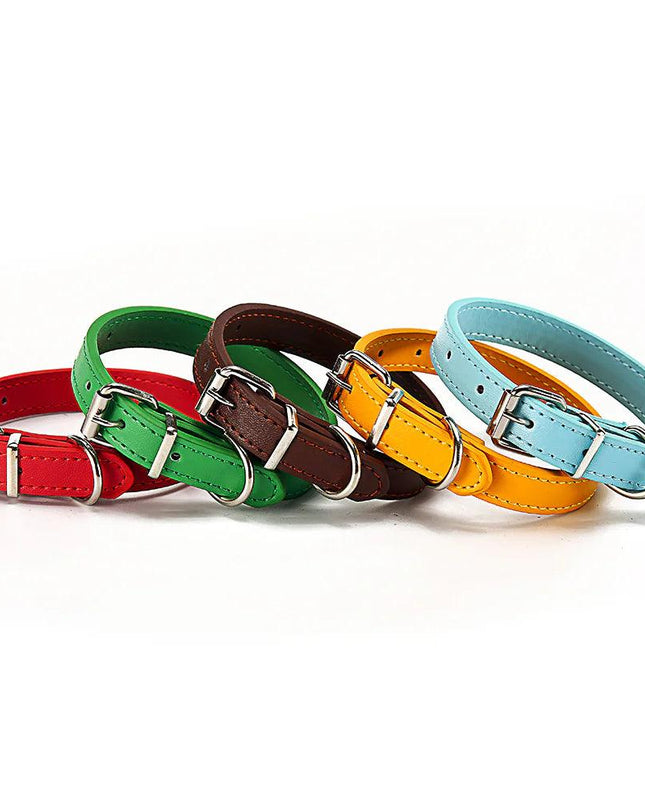 Paws & Whiskers Collar