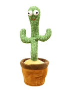 Common Cactus / 32cm