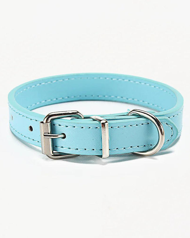 Paws & Whiskers Collar