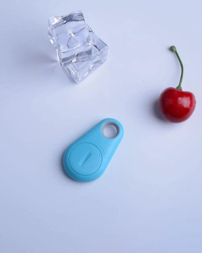 Paw Anti-Lost Device