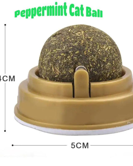 Cat Snack Tooth Cleaning Molar Hair Removing