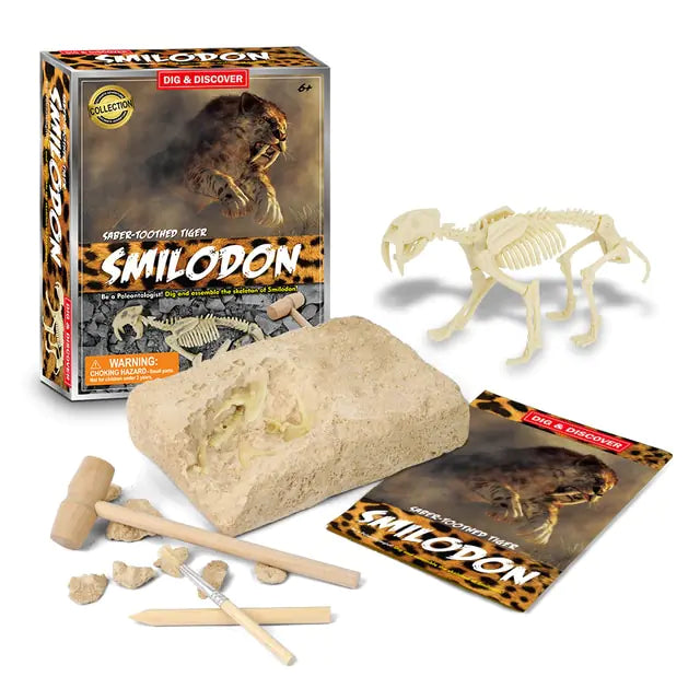 Dinosaur Fossil Excavation Kits Education